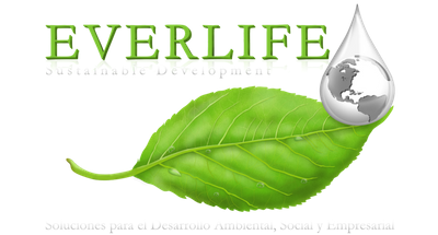 Grupo Everlife logo